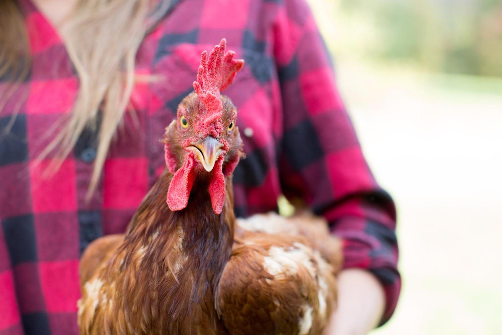 Woodstock Sustainable Farms Villa Buitenkant foto